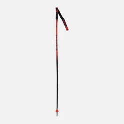 BASTONCINI DA GARA UNISEX HERO GS-SG